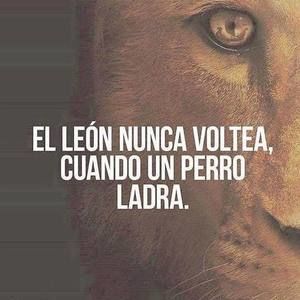 Meet your Posher, Ivan